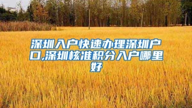 深圳入户快速办理深圳户口,深圳核准积分入户哪里好