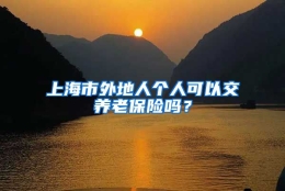 上海市外地人个人可以交养老保险吗？