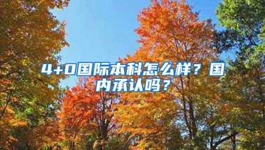 4+0国际本科怎么样？国内承认吗？