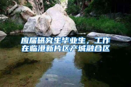 应届研究生毕业生，工作在临港新片区产城融合区