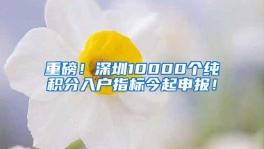 重磅！深圳10000个纯积分入户指标今起申报！