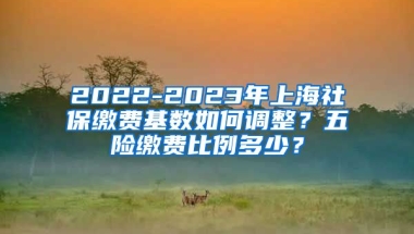 2022-2023年上海社保缴费基数如何调整？五险缴费比例多少？