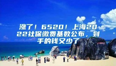 涨了！6520！上海2022社保缴费基数公布，到手的钱又少了