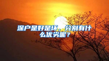 深户是好是坏，分别有什么优劣呢？