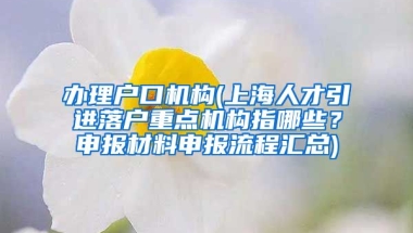 办理户口机构(上海人才引进落户重点机构指哪些？申报材料申报流程汇总)