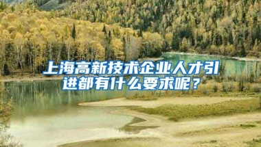 上海高新技术企业人才引进都有什么要求呢？