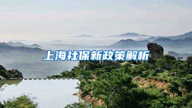 上海社保新政策解析