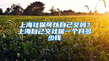 上海社保可以自己交吗？上海自己交社保一个月多少钱