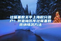 社保基数关乎上海积分落户！附查询历年社保基数缴纳情况方法