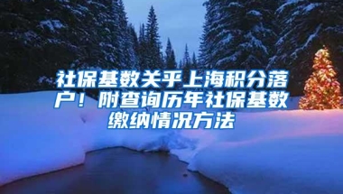 社保基数关乎上海积分落户！附查询历年社保基数缴纳情况方法