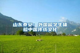 山东泰安：外国留学生体验中国传统文化