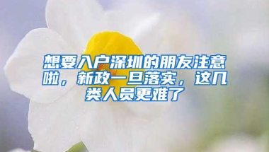 想要入户深圳的朋友注意啦，新政一旦落实，这几类人员更难了