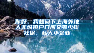 你好，我想问下上海外地人非城镇户口应交多少钱社保，私人小企业