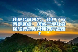 我是公司财务，我想了解调整延缴、缓缴三项社会保险费期限具体如何规定？