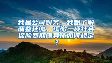 我是公司财务，我想了解调整延缴、缓缴三项社会保险费期限具体如何规定？