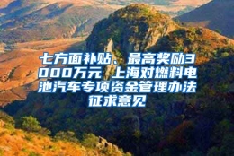 七方面补贴、最高奖励3000万元 上海对燃料电池汽车专项资金管理办法征求意见