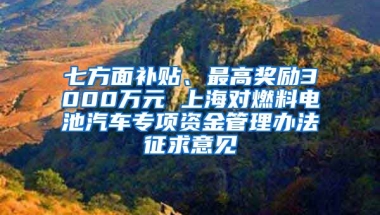 七方面补贴、最高奖励3000万元 上海对燃料电池汽车专项资金管理办法征求意见