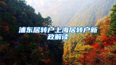 浦东居转户上海居转户新政解读