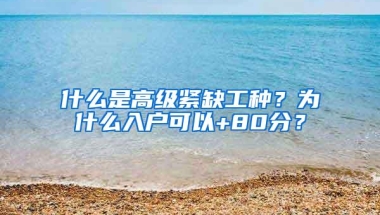 什么是高级紧缺工种？为什么入户可以+80分？