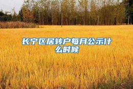 长宁区居转户每月公示什么时候