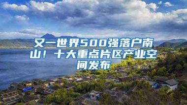 又一世界500强落户南山！十大重点片区产业空间发布