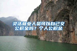 灵活就业人员可以自己交公积金吗？个人公积金