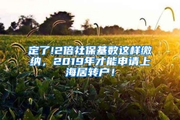 定了!2倍社保基数这样缴纳，2019年才能申请上海居转户！