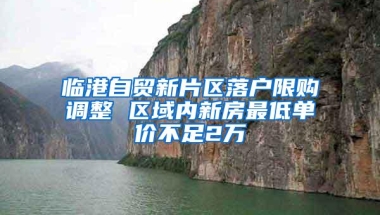 临港自贸新片区落户限购调整 区域内新房最低单价不足2万