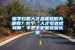 留学归国人才急难愁盼为哪般？长宁“人才引进规划师”手把手护航安居乐业