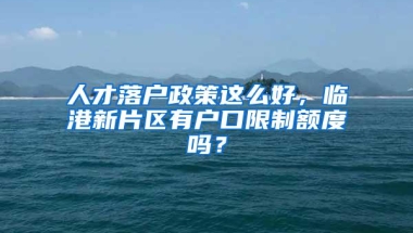 人才落户政策这么好，临港新片区有户口限制额度吗？