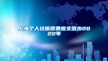 上海个人社保缴费应交多少2022年