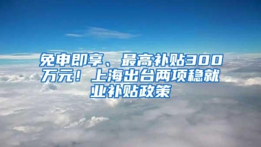 免申即享、最高补贴300万元！上海出台两项稳就业补贴政策