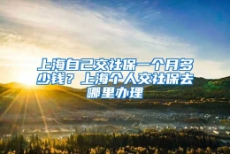 上海自己交社保一个月多少钱？上海个人交社保去哪里办理