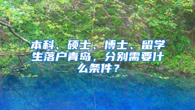 本科、硕士、博士、留学生落户青岛，分别需要什么条件？