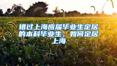 错过上海应届毕业生定居的本科毕业生，如何定居上海