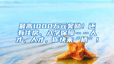 最高1000万元奖励！还有住房、入学保障……人才、人才，你快来“栖”！