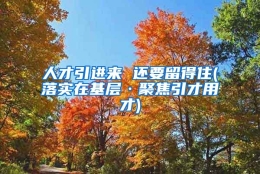 人才引进来 还要留得住(落实在基层·聚焦引才用才)