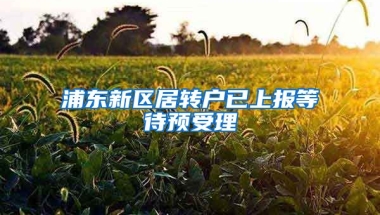 浦东新区居转户已上报等待预受理