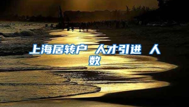 上海居转户 人才引进 人数