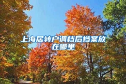 上海居转户调档后档案放在哪里