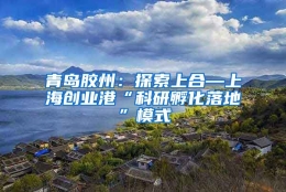 青岛胶州：探索上合—上海创业港“科研孵化落地”模式