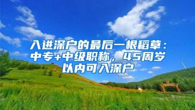 入进深户的最后一根稻草：中专+中级职称，45周岁以内可入深户