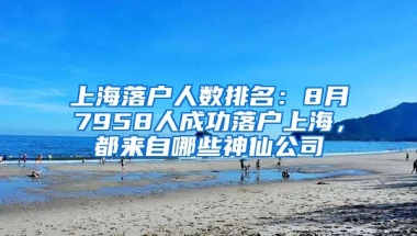 上海落户人数排名：8月7958人成功落户上海，都来自哪些神仙公司