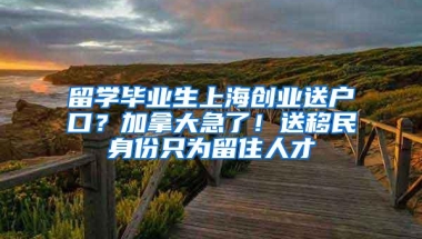 留学毕业生上海创业送户口？加拿大急了！送移民身份只为留住人才