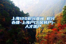 上海120积分查询 积分办理-上海户口(居转户)-人才落户