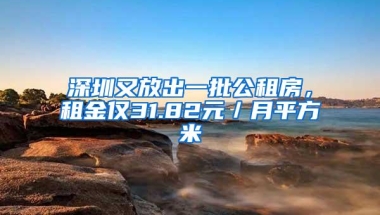 深圳又放出一批公租房，租金仅31.82元／月平方米