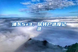 浦东5+3，居转户进度记录