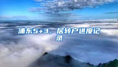 浦东5+3，居转户进度记录