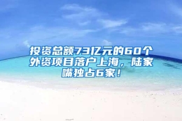 投资总额73亿元的60个外资项目落户上海，陆家嘴独占6家！