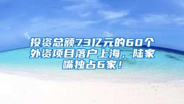 投资总额73亿元的60个外资项目落户上海，陆家嘴独占6家！